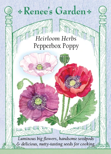 RG Poppy Pepperbox 